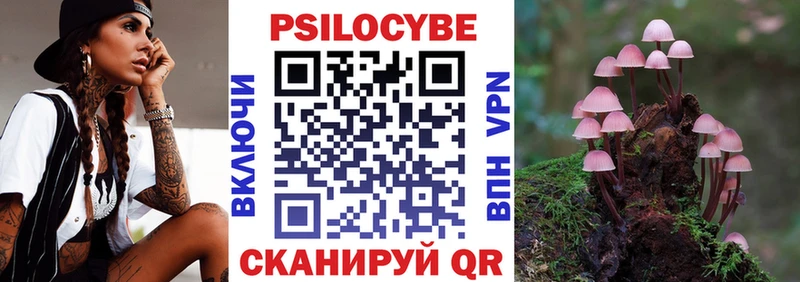 Купить где  Смоленск  Псилоцибиновые грибы GOLDEN TEACHER 